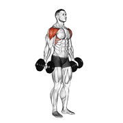 dumbbell full can lateral raise egzersiz gösterimi