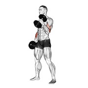 dumbbell hammer curl exercise demonstration