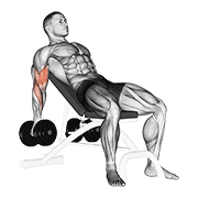 dumbbell incline biceps curl egzersiz gösterimi