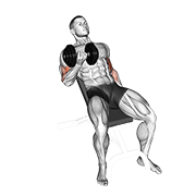 dumbbell incline curl dimostrazione dell’esercizio
