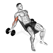 dumbbell incline inner biceps curl exercise demonstration