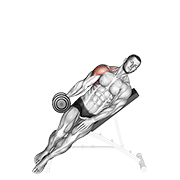 dumbbell incline one arm lateral raise exercise demonstration