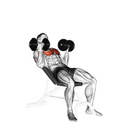 dumbbell incline palm-in press dimostrazione dell’esercizio