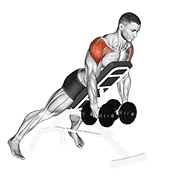 dumbbell incline rear lateral raise dimostrazione dell’esercizio