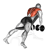 dumbbell incline row dimostrazione dell’esercizio