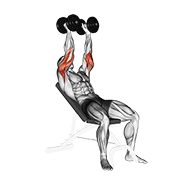 dumbbell incline triceps extension dimostrazione dell’esercizio