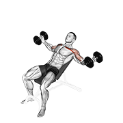 dumbbell incline twisted flyes egzersiz gösterimi