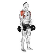 dumbbell lateral raise egzersiz gösterimi