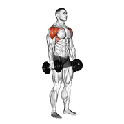 dumbbell lateral to front raise exercise demonstration