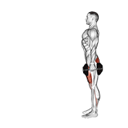 dumbbell lunge egzersiz gösterimi