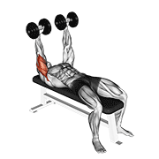 dumbbell lying extension (across face) egzersiz gösterimi
