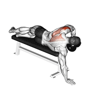 dumbbell lying one arm deltoid rear egzersiz gösterimi