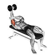 dumbbell lying one arm pronated triceps extension dimostrazione dell’esercizio