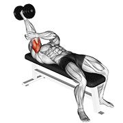 dumbbell lying one arm supinated triceps extension exercise demonstration