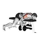dumbbell lying rear lateral raise egzersiz gösterimi