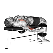 dumbbell lying supine curl exercise demonstration