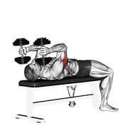 dumbbell lying triceps extension exercise demonstration