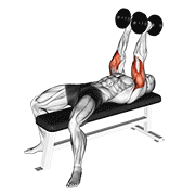 dumbbell neutral grip bench press exercise demonstration