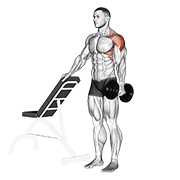 dumbbell one arm lateral raise with support 动作演示