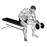dumbbell one arm reverse wrist curl 动作演示