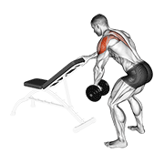 dumbbell one arm reverse fly (with support) dimostrazione dell’esercizio