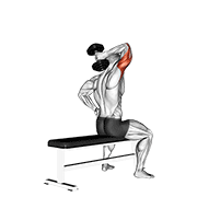 dumbbell one arm triceps extension (on bench) exercise demonstration