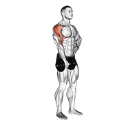 dumbbell one arm upright row exercise demonstration