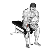 dumbbell one arm wrist curl dimostrazione dell’esercizio
