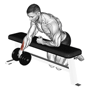 dumbbell over bench one arm wrist curl exercise demonstration