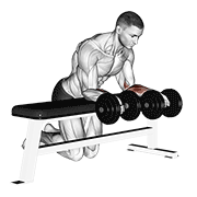 dumbbell over bench revers wrist curl exercise demonstration