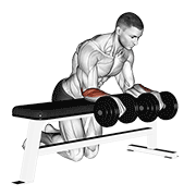 dumbbell over bench wrist curl egzersiz gösterimi