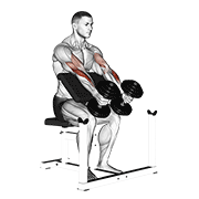 dumbbell peacher hammer curl dimostrazione dell’esercizio