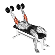 dumbbell pronate-grip triceps extension exercise demonstration