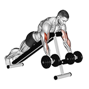 dumbbell prone incline curl egzersiz gösterimi