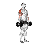 dumbbell raise dimostrazione dell’esercizio