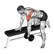 dumbbell rear delt row_shoulder exercise demonstration