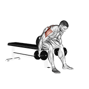 dumbbell rear fly exercise demonstration