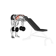 dumbbell rear lateral raise (support head) 动作演示