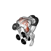 dumbbell rear lateral raise exercise demonstration