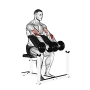 dumbbell reverse preacher curl exercise demonstration