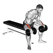 dumbbell reverse wrist curl dimostrazione dell’esercizio