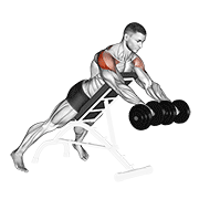 dumbbell rotation reverse fly exercise demonstration