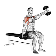 dumbbell seated alternate front raise egzersiz gösterimi