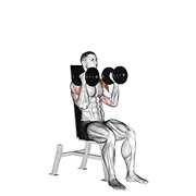 dumbbell seated alternate press 动作演示