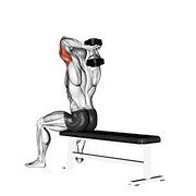 dumbbell seated bench extension dimostrazione dell’esercizio