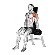 dumbbell seated front raise exercise demonstration