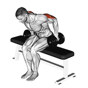 dumbbell seated kickback dimostrazione dell’esercizio