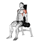 dumbbell seated lateral raise v. 2 egzersiz gösterimi
