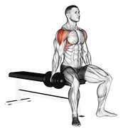 dumbbell seated lateral raise exercise demonstration