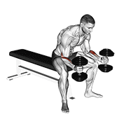 dumbbell seated neutral wrist curl exercise demonstration